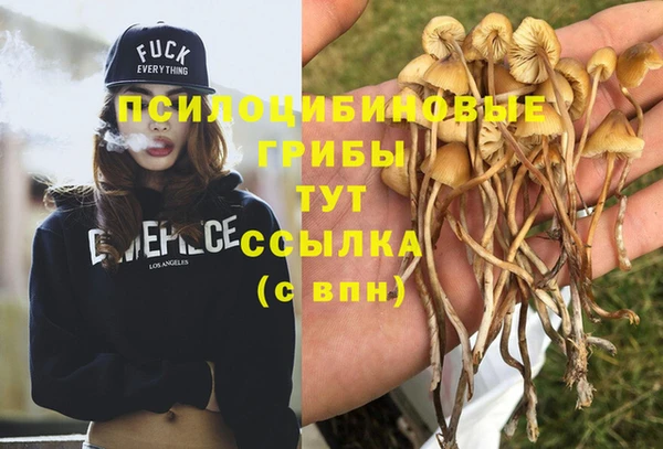 бошки Абаза