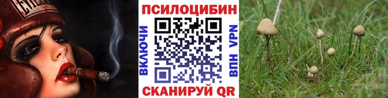 наркота Северская гидра Псилоцибиновые грибы прущие грибы